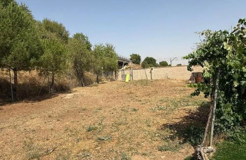 Alojamiento Rural Los Cortados - Foto 6