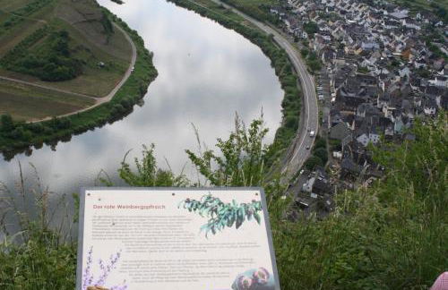 Komfort Ferienwohnung FEWO74-2 - Foto 53