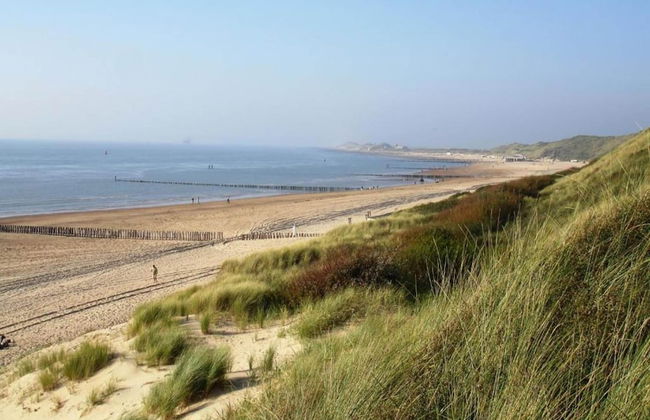 Pet-friendly Escape by the Sea - Photo 34