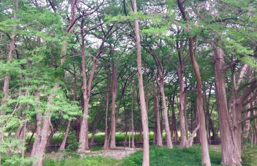 Swimming Hole - Foto 18