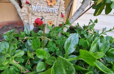 La casetta di Dany - Foto 32