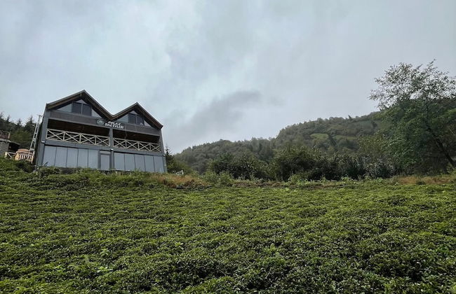 Relax Dağ Evleri - Foto 64