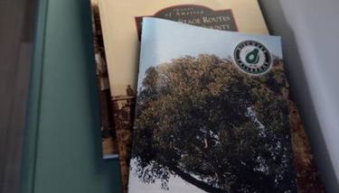 Aviation Landing - Foto 3