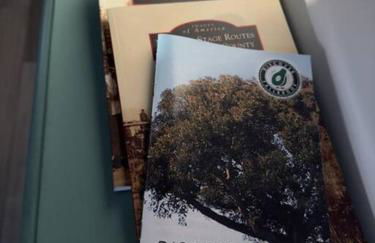 Aviation Landing - Foto 3