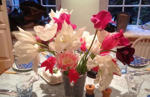 Chain House - Historic and Gorgeous, Spacious and Private - Foto 19