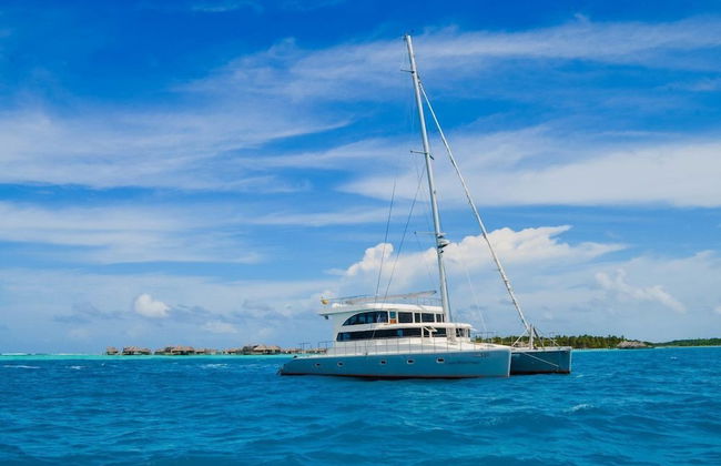 Maldives Dive Loabi - Foto 1