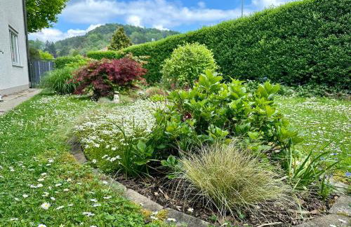 Schöne Wohnung mit großem Garten - Foto 34