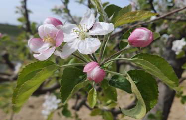 Casa Bellavista - Foto 9