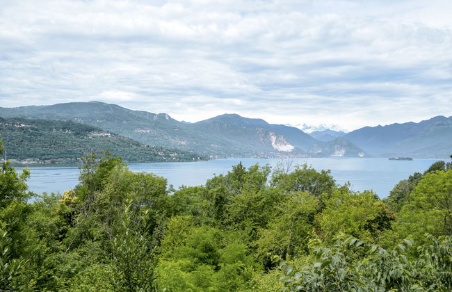 Casa nel Bosco - Foto 3