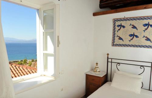 Hydra Erato - Foto 57