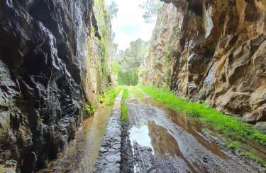 Quinta Dos Avós Lourenço - Foto 29