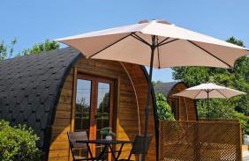 Quinta Lama de Cima - Foto 9