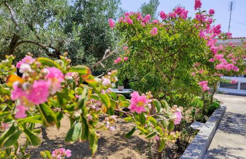 Katerina's Countryside and Sea House - Foto 16