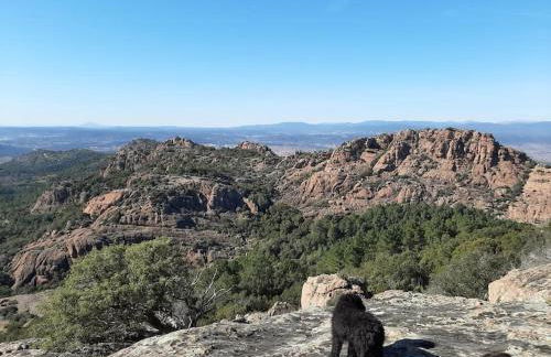 Coup de cœur pour amoureux en vadrouille - Foto 18