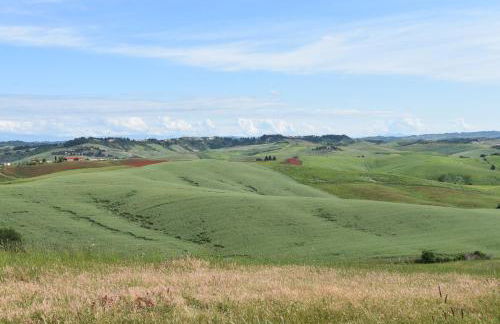 Lajatico Rentals - Terrazza sul Tramonto del Silenzio - Foto 77