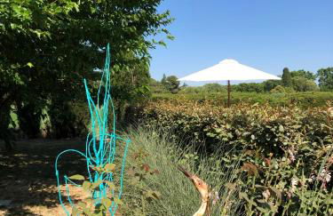 Le Grès 313 - Photo 33