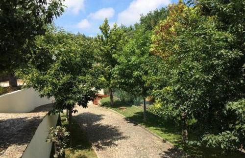 Casa de Madeira - Foto 30