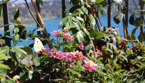 La Casetta Superior - Foto 3