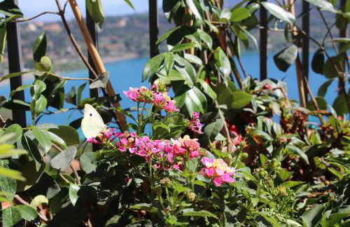 La Casetta Superior - Foto 3