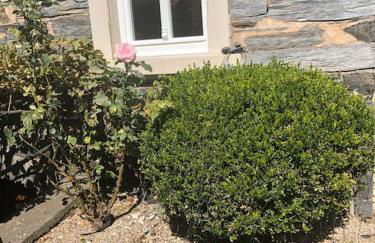 Wohnen direkt am Moselstrand - Foto 62