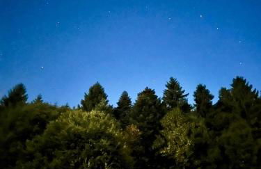 Badischhaus am Waldrand & Weitblick - Foto 36