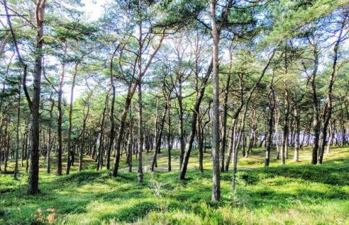 Summer House in Kopalino Near the Sea - Foto 66