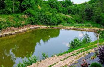 Siedlisko Sielska Dolina Nad Stawem luksusowy domek całoroczny z klimatyzacją - Foto 19