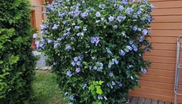 Ferienhaus Bliev-Hee Nr 4 - Foto 5