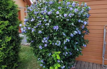 Ferienhaus Bliev-Hee Nr 4 - Foto 5