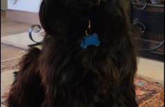 Villa Margherita Art and Music - Foto 6