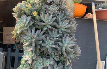 Chácara Recanto Florido - Foto 67