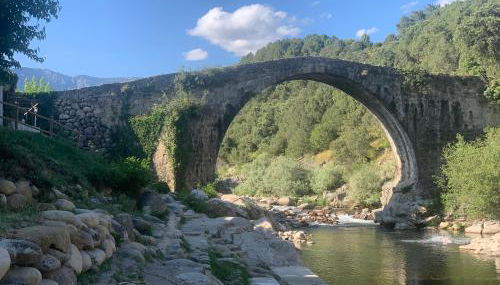 Los Seis Caños - Foto 3