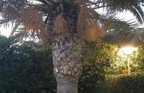 Villa Plemmyria - Foto 73