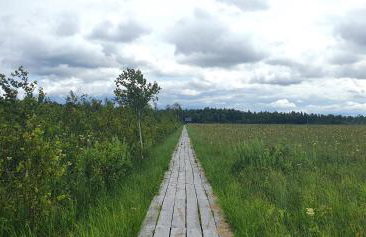 KURNIK - Domek pod lasem - Foto 29