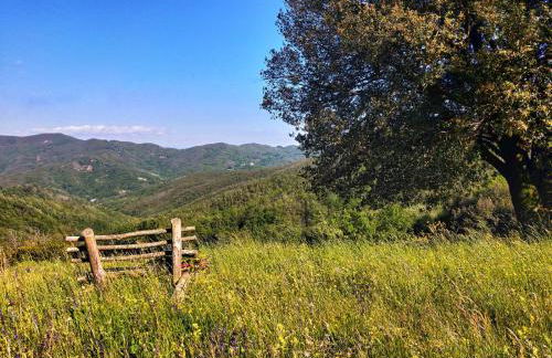 Agriturismo Giandriale - Foto 37