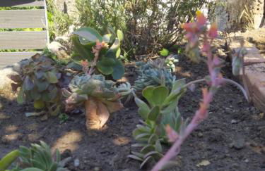 Nikos' Home - Foto 36