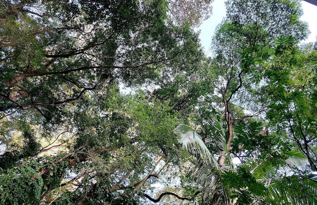 Pedra Bonita Flats - Foto 71