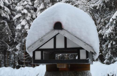 Ferienwohnungen Haus Zeier - Foto 83