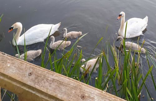 Nene Cottage - Foto 30