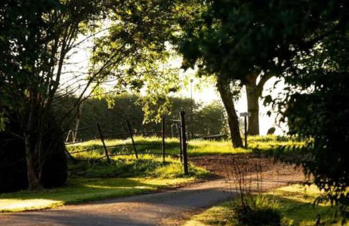 Luxury Farm House with Heated Pool & Jacuzzi - Foto 27