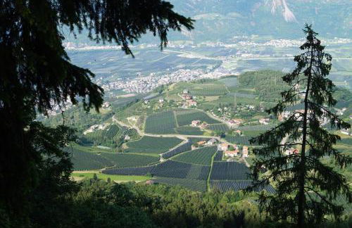 Tribus Lorenz - Wiesgut - Photo 28