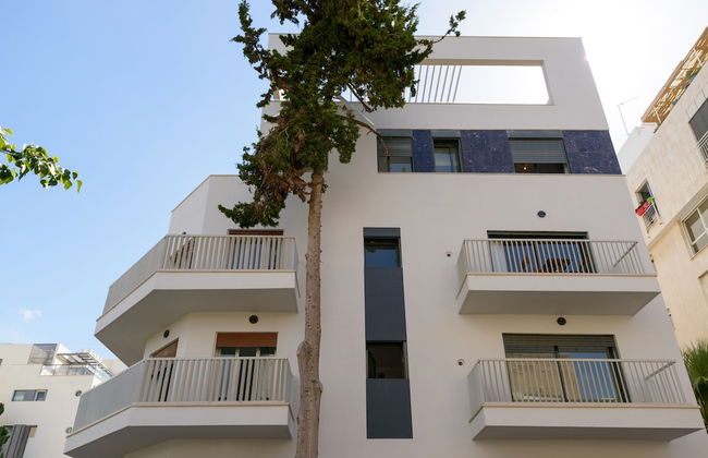 CTLV - Sheinkin 30 - Foto 51