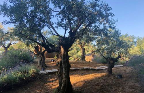 Cozy Chalet in Castell'Arquato 90 m² with Private Pool - Foto 70