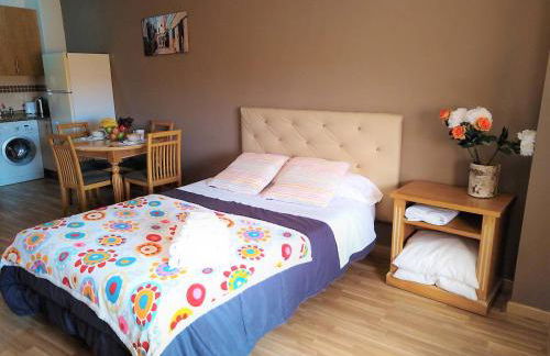 Apartamento Domingo Lozano - Foto 8