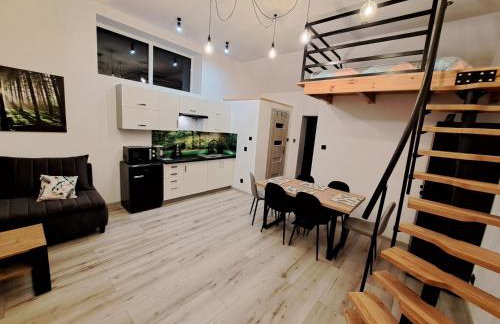 Apartament z antresolą - Foto 12