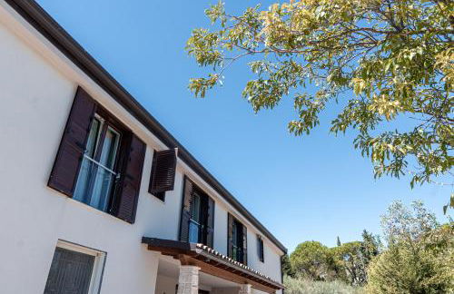 Manfredomus - Foto 98