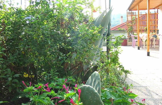 Agriturismo Un Posto al Sole - Foto 42