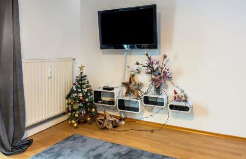 Radolfzell Bodensee - Foto 18