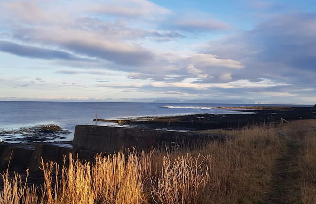 Apartment 65B - Photo 11