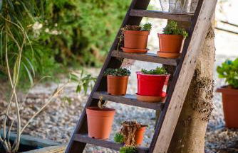 Vale do Grou Natura - Foto 37